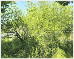  2025Ÿ��704 �泲 â�籺 ����� ������ 277-4      ����(��1)���