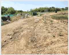  2025Ÿ��704 �泲 â�籺 ����� ������ 277-4      ����(��1)���