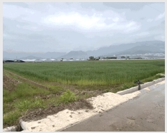  2025Ÿ��735 �泲 �о�� �κϸ� û� 114-1      ����(��)���