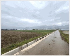  2025Ÿ��735 �泲 �о�� �κϸ� û� 114-1      ����(��)���