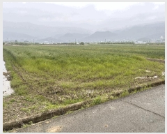  2025Ÿ��735 �泲 �о�� �κϸ� û� 114-1      ����(��)���