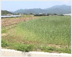  2025Ÿ��735 �泲 �о�� �κϸ� û� 114-1      ����(��)���