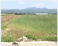  2025Ÿ��735 �泲 �о�� �κϸ� û� 114-1      ����(��)���