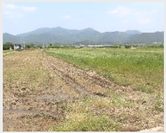  2025Ÿ��735 �泲 �о�� �κϸ� û� 114-1      ����(��)���