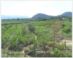  2025Ÿ��834  ����