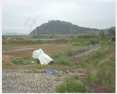  2025Ÿ��834  ����