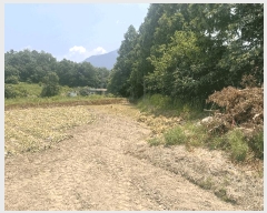  2025Ÿ��926 �泲 â�籺 â���� ���� 648-3      ����(��1)���