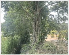  2025Ÿ��926 �泲 â�籺 â���� ���� 648-3      ����(��1)���