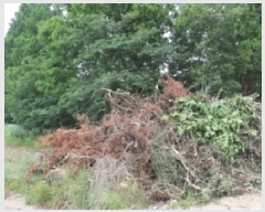  2025Ÿ��926 �泲 â�籺 â���� ���� 648-3      ����(��1)���