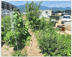  2025Ÿ��988 �泲 �о�� �󳲸� ���ݸ� 2033      ����(��)���