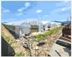  2025Ÿ��988 �泲 �о�� �󳲸� ���ݸ� 2033      ����(��)���