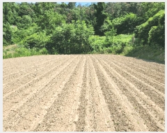  2025Ÿ��988 �泲 �о�� �󳲸� ���ݸ� 2033      ����(��)���