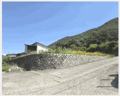  2025Ÿ��1042  �Ӿ߰��