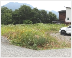  2025Ÿ��1042  �Ӿ߰��