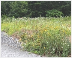  2025Ÿ��1042  �Ӿ߰��