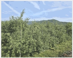  2025Ÿ��1073 �泲 �о�� �곻�� �۹鸮 57      ����(��)���