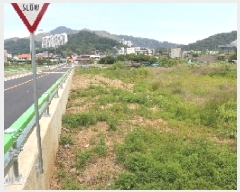  2025Ÿ��1103  ����