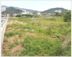  2025Ÿ��1103  ����