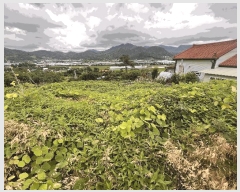  2025Ÿ��1134  �����