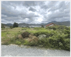  2025Ÿ��1134  �����