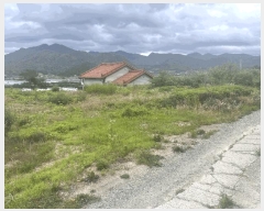  2025Ÿ��1134  �����