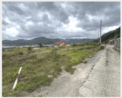  2025Ÿ��1134  �����