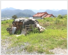  2025Ÿ��1134  �����