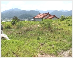  2025Ÿ��1134  �����