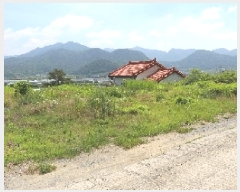  2025Ÿ��1134  �����