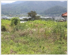  2025Ÿ��1134  �����