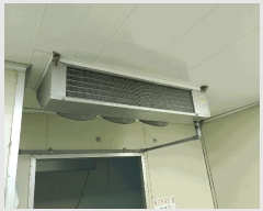  2025Ÿ��1288  ������