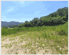  2025Ÿ��1387  ����