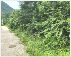  2025Ÿ��1417  �����