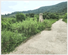  2025Ÿ��1417  �����