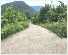  2025Ÿ��1417  �����