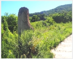  2025Ÿ��1417  �����