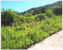  2025Ÿ��1417  �����