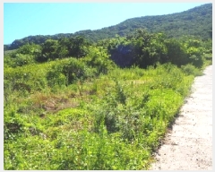  2025Ÿ��1417  �����