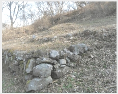  2025Ÿ��1448 �泲 �о�� ���ȸ� ��� ��91-2      ����(�Ӿ�)���