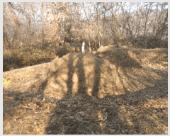  2025Ÿ��1448 �泲 �о�� ���ȸ� ��� ��91-2      ����(�Ӿ�)���