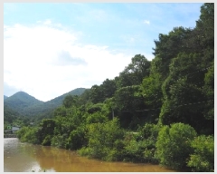  2025Ÿ��1448 �泲 �о�� ���ȸ� ��� ��91-2      ����(�Ӿ�)���