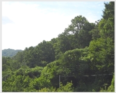  2025Ÿ��1448 �泲 �о�� ���ȸ� ��� ��91-2      ����(�Ӿ�)���