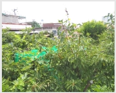  2025Ÿ��1479 �泲 �о�� ��� 728-125       ����(����)���