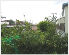  2025Ÿ��1479 �泲 �о�� ��� 728-125       ����(����)���