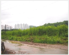  2025Ÿ��1509  ����