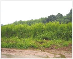  2025Ÿ��1509  ����