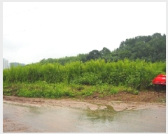  2025Ÿ��1509  ����