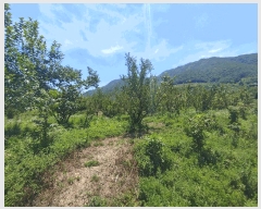  2025Ÿ��1530  ����