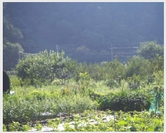  2025Ÿ��1530  ����