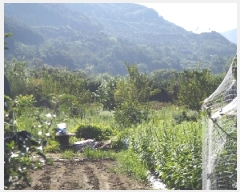  2025Ÿ��1530  ����